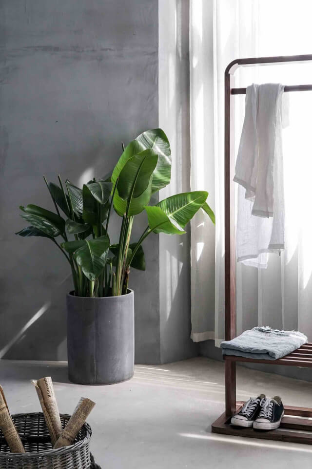 Médicament – Image 2